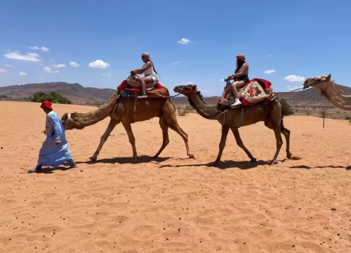 Quad/ Buggy & Camel Tour in Agadir